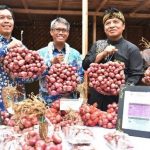 Kluster Baru Bawang, BI dan Unpad Bina Petani Cimenyan Belajar Agribisnis agribisnis