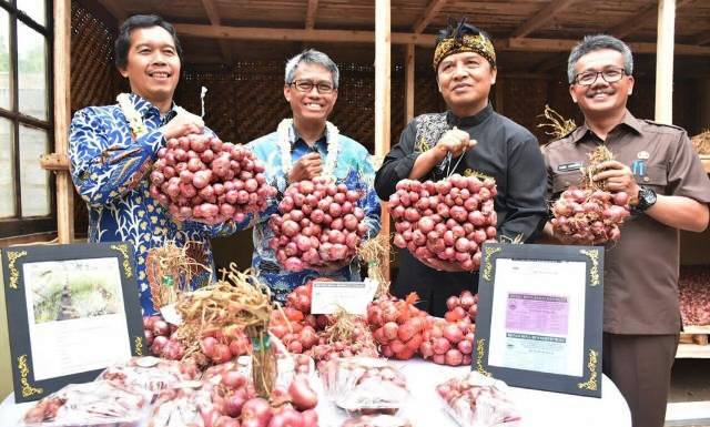 agribisnis