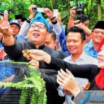 Lepas Burung, Lindungi Baksil