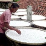 Pertahankan Tradisi Hanya Makan Rasi