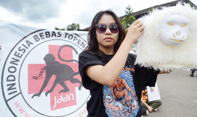 Monyet, Rentan Tularkan Penyakit