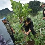 Gerakan Satapok Akhirnya Diluncurkan