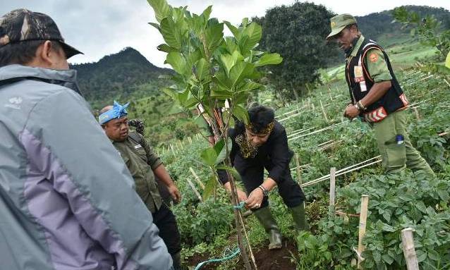Gerakan Satapok Akhirnya Diluncurkan Gerakan Satapok Akhirnya Diluncurkan