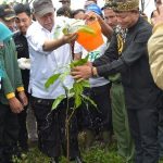 8 Persen Wilayah Perlu Ditanam Pohon