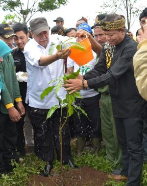 8 Persen Wilayah Perlu Ditanam Pohon
