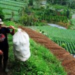 Kebut Pemetaan Kawasan Pertanian di Jabar