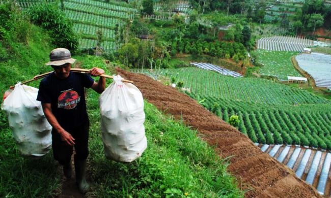 Kebut Pemetaan Kawasan Pertanian di Jabar