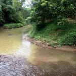 DLH Lakukan Sidak Dihari Minggu