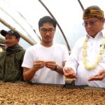 Perkembangan Kopi Sangat Menjanjikan