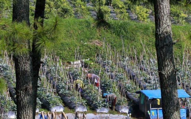 Perhatikan Petani di Area Rawan Bencana Perhatikan Petani di Area Rawan Bencana