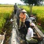 Longsor di Irigasi Sering Terjadi