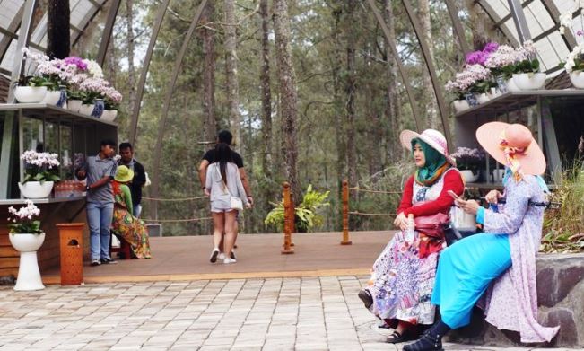 Target Pajak Hiburan Meningkat