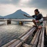 Produksi Ikan Diprediksi Turun 50 Persen