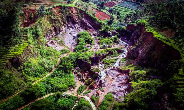Perlu Perluasan Hutan Untuk Meminimalisir Bencana Banjir