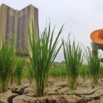 Buat Lahan Abadi untuk Sawah