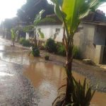 Jalan Rusak, Warga Tanam Pisang