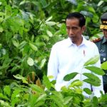 Citarum Tidak Berhenti di Mayjen Doni