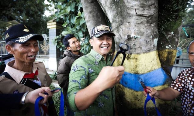 2 Kilo Paku dari Pohon