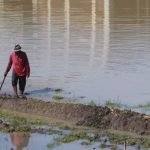 Areal Sawah Terancam Gagal Panen