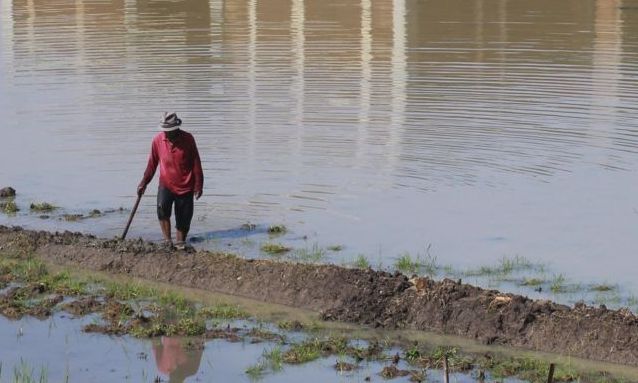 Pasokan Air Belum Optimal bagi Pertanian