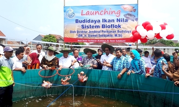 Kementerian KKP Luncurkan Nila Biofolk di Sukabumi