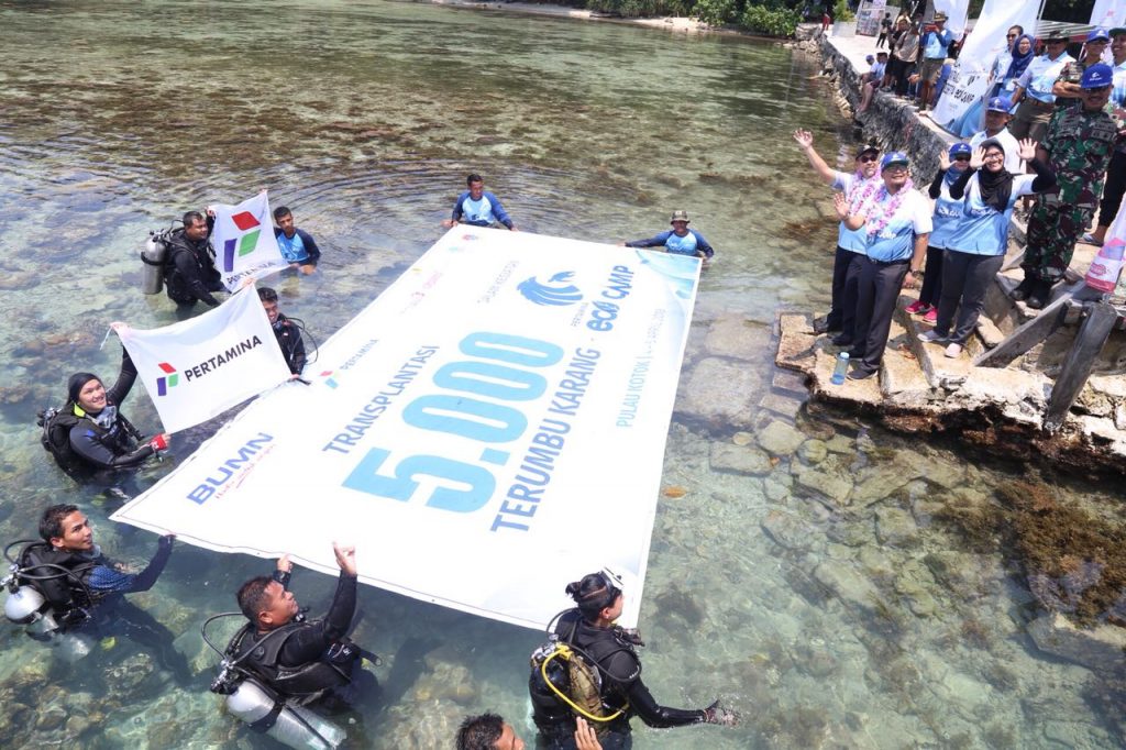 Upaya Nyata Pertamina Lestarikan Elang Bondol