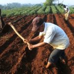 Bantuan untuk Petani Rp 12.6 Miliar