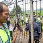 Rekontruksi Pembunuhan Mahasiswa Tel-U