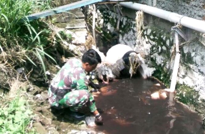 Satgas Citarum Harum