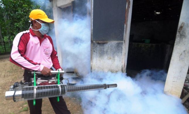 Satu Orang Meninggal Karena DBD