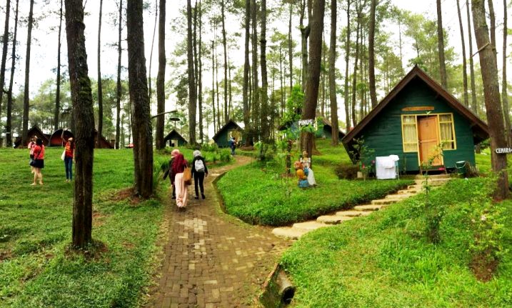 Dua Minggu Jelang Pergantian Tahun, Kunjungan ke TWGC Menggeliat