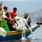 Wado Canangkan Tambal Sulam Ikan di Waduk Jatigede