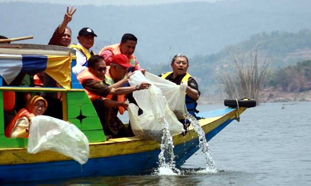 Wado Canangkan Tambal Sulam Ikan di Waduk Jatigede