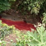 Limbah PT Brother Disanksi