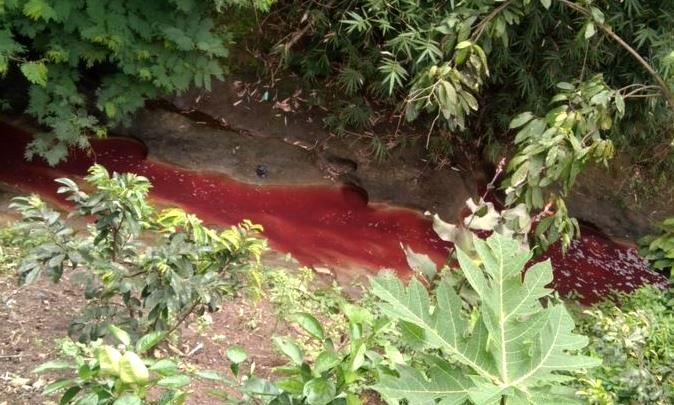 Limbah PT Brother Disanksi