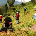 Hulu Sungai Citarum Butuh Jutaan Pohon