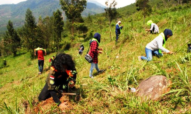 Hulu Sungai Citarum Butuh Jutaan Pohon