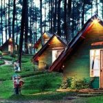 Pondok Bergaya Rumah Hobbit Menarik Pengunjung