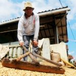 Pemprov Kembangkan Kopi Java Preanger