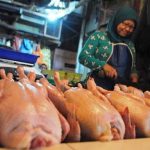 Ayam Tembus Rp 40 ribu Ayam Tembus Rp 40 ribu