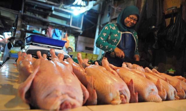 Ayam Tembus Rp 40 ribu Ayam Tembus Rp 40 ribu