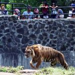Buang Puntung Rokok Akan Kena Sanksi