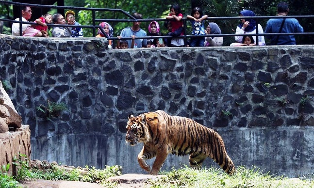 Buang Puntung Rokok Akan Kena Sanksi