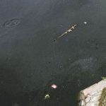 Sampah di Tanggul Sungai Citarik Menggunung Sampah di Tanggul Sungai Citarik Menggunung