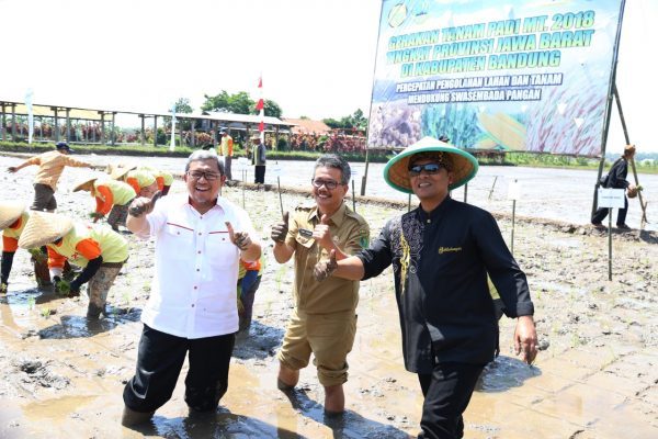Petani Ciparay Dapat Alat Mesin Pertanian