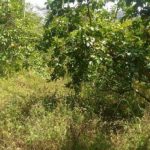 Warga Tolak Pembangunan Rumah Ibadah