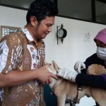 4.000 Hewan Akan Divaksinasi