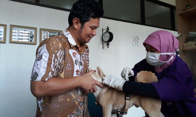 4.000 Hewan Akan Divaksinasi