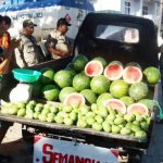 pkl-buah