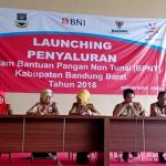 Program BPNT